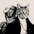 purr-and-mutt-discount-code